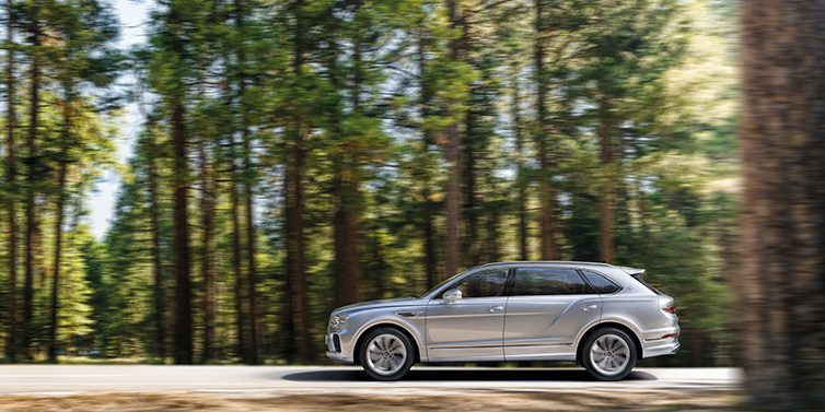 Bentley Maastricht Bentley Bentayga Extended Wheelbase SUV in Moonbeam paint driving dynamically on a forest road